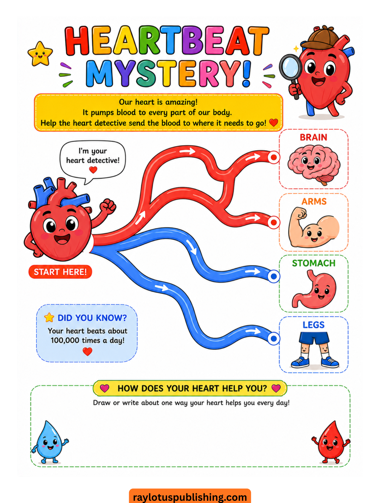 my amazing body detective workbook for kids - Image 5